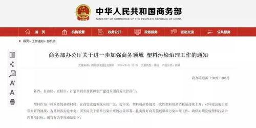 新城最新爆料消息今天新闻,今日新闻焦点深度解析