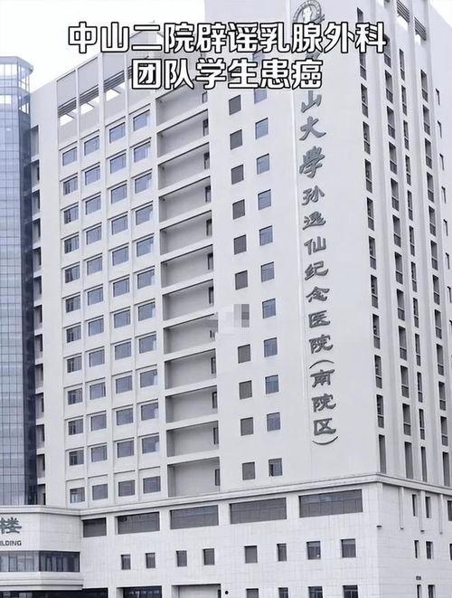 中山二院爆料最新消息,最新调查进展与内部情况披露